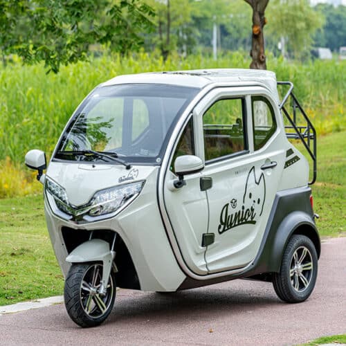 Q3 Full Enclosed Electric Tricycle With Rear Rack And Trunk